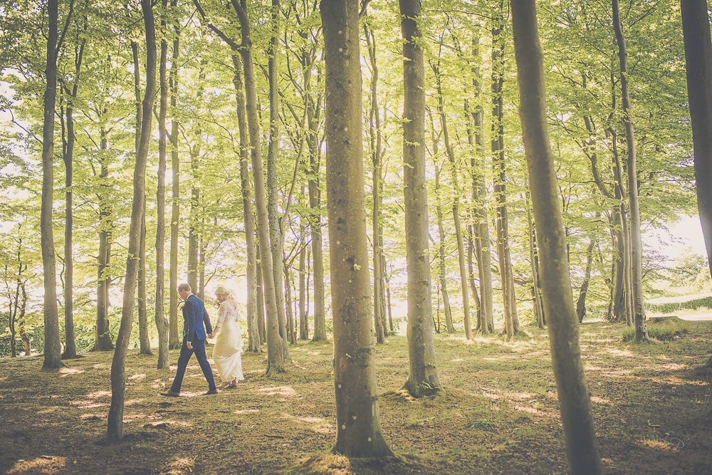 bröllopsfotograf i bokskogen vid Sofieroslott